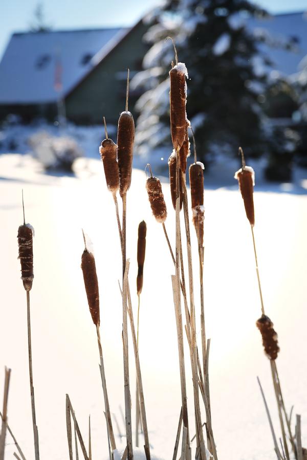 Black Bear Inns - thumb 32