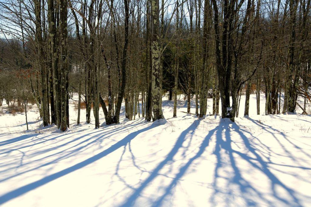 Black Bear Inns - thumb 15