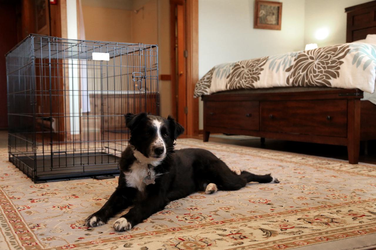 Black Bear Inns - thumb 30