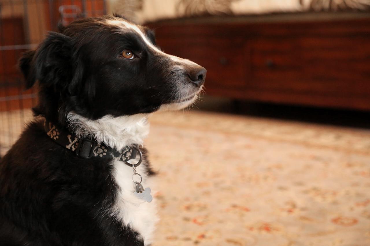 Black Bear Inns - thumb 39