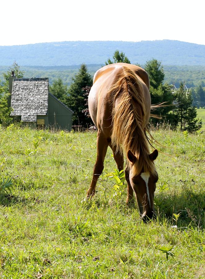 Black Bear Inns - thumb 41