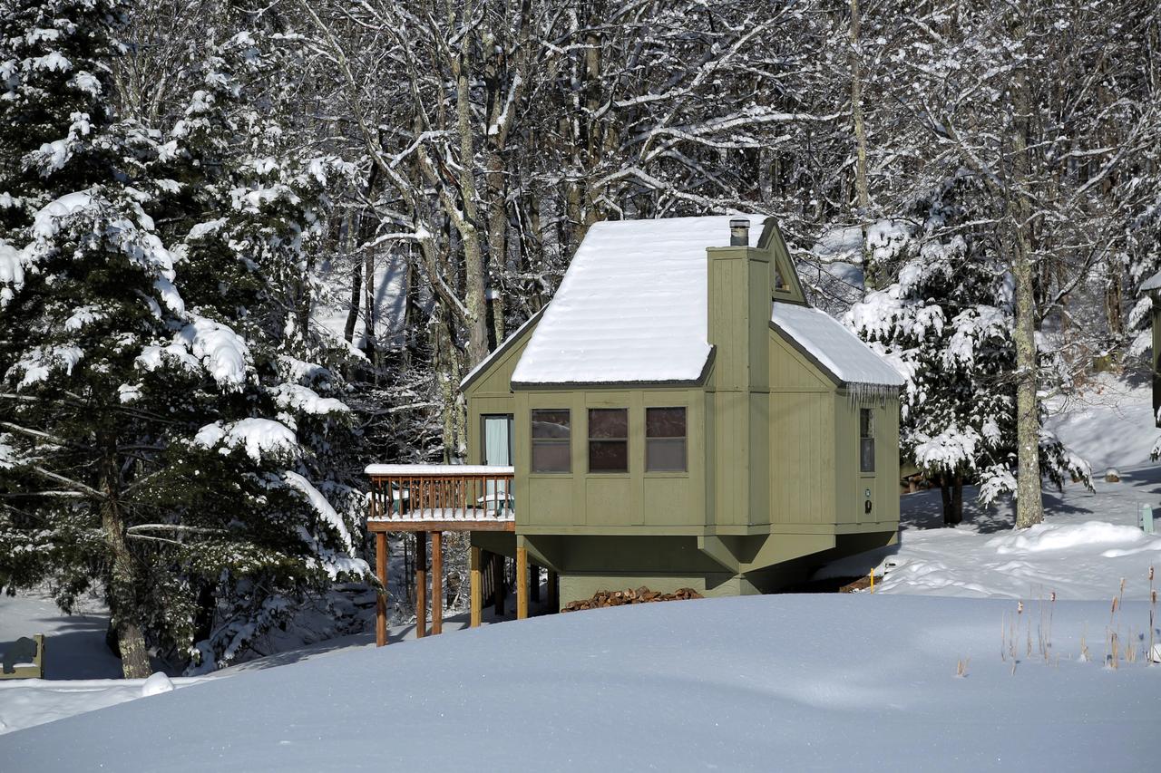 Black Bear Inns - thumb 12