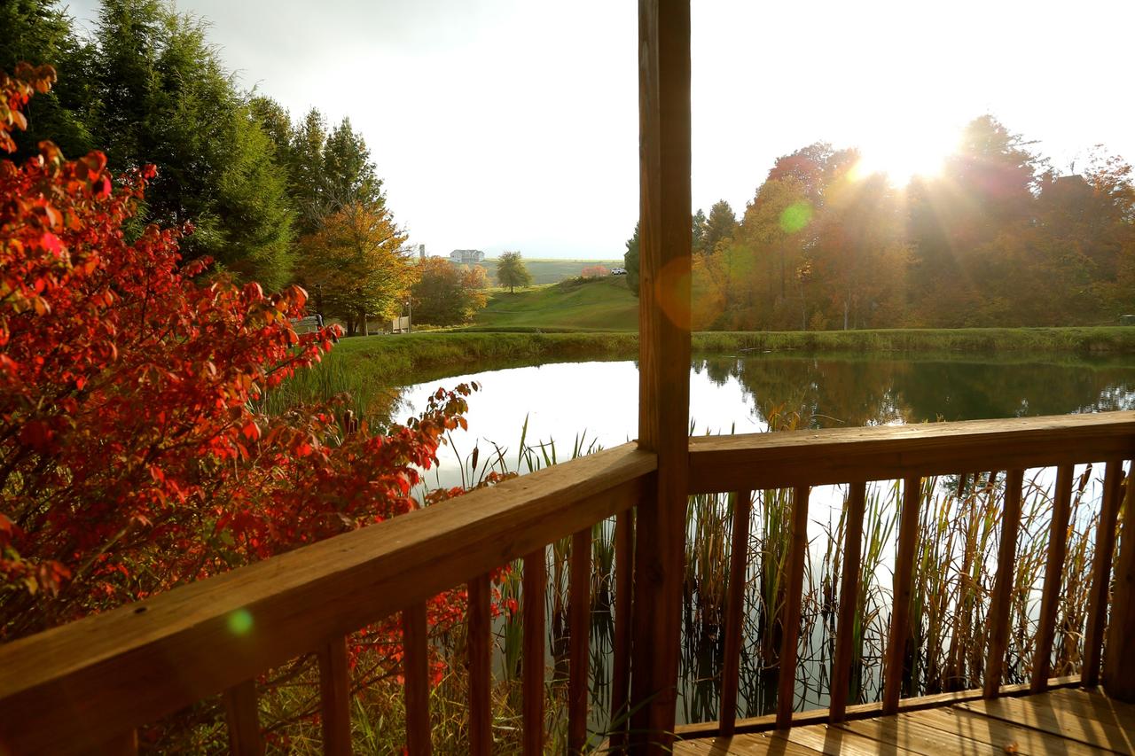 Black Bear Inns - thumb 38