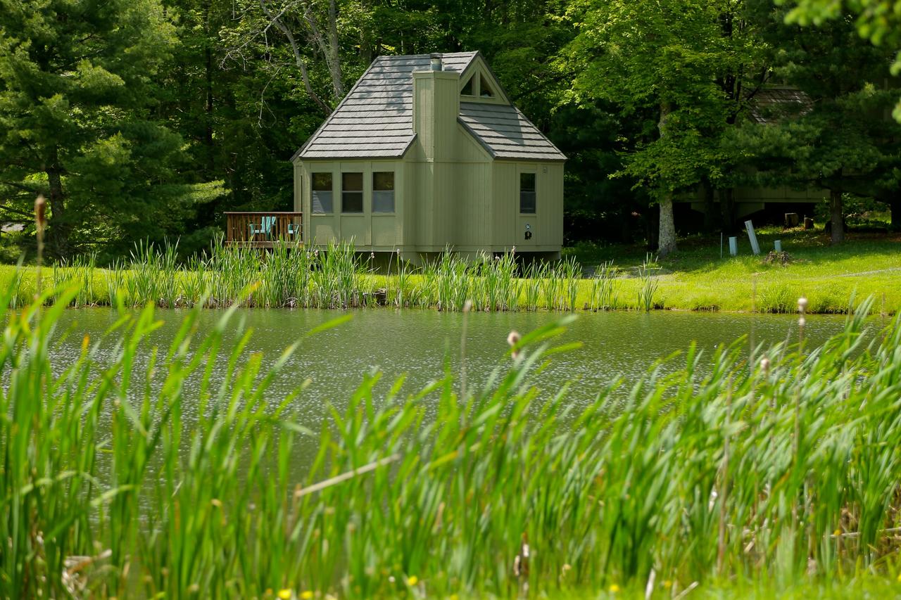 Black Bear Inns - thumb 21