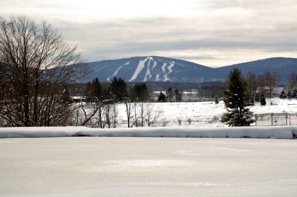 Black Bear Inns - thumb 19