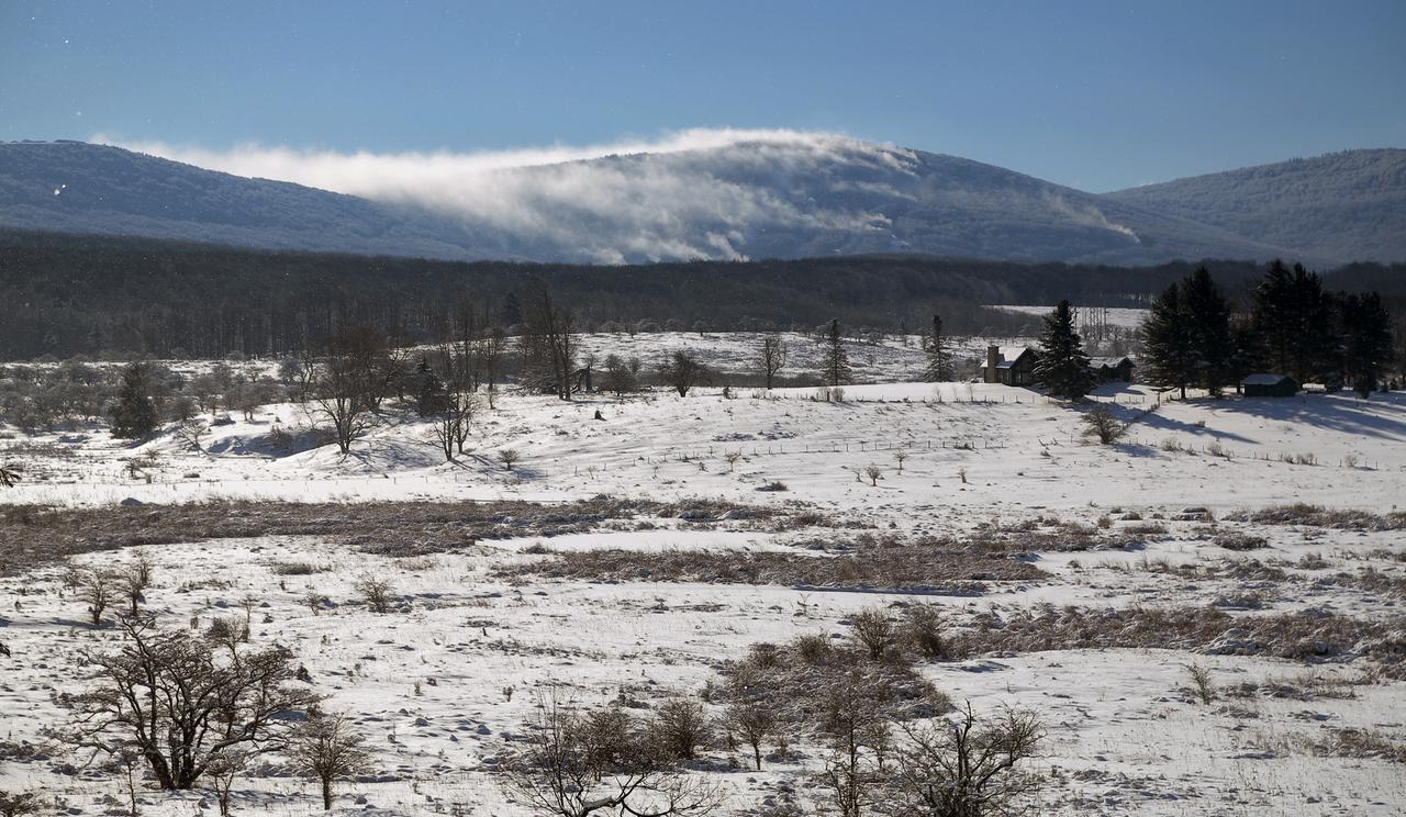 Black Bear Inns - thumb 40