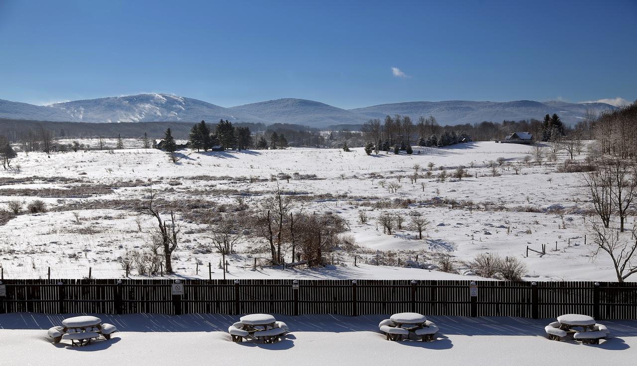 Black Bear Inns - thumb 24