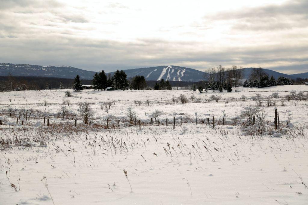 Black Bear Inns - thumb 3