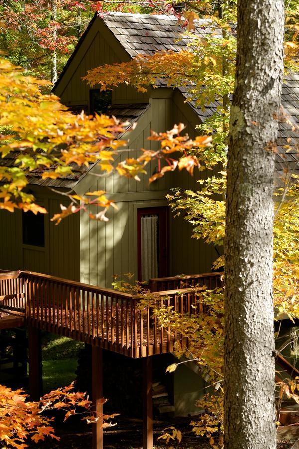 Black Bear Inns - thumb 33