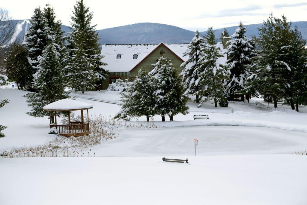 Black Bear Inns - thumb 0