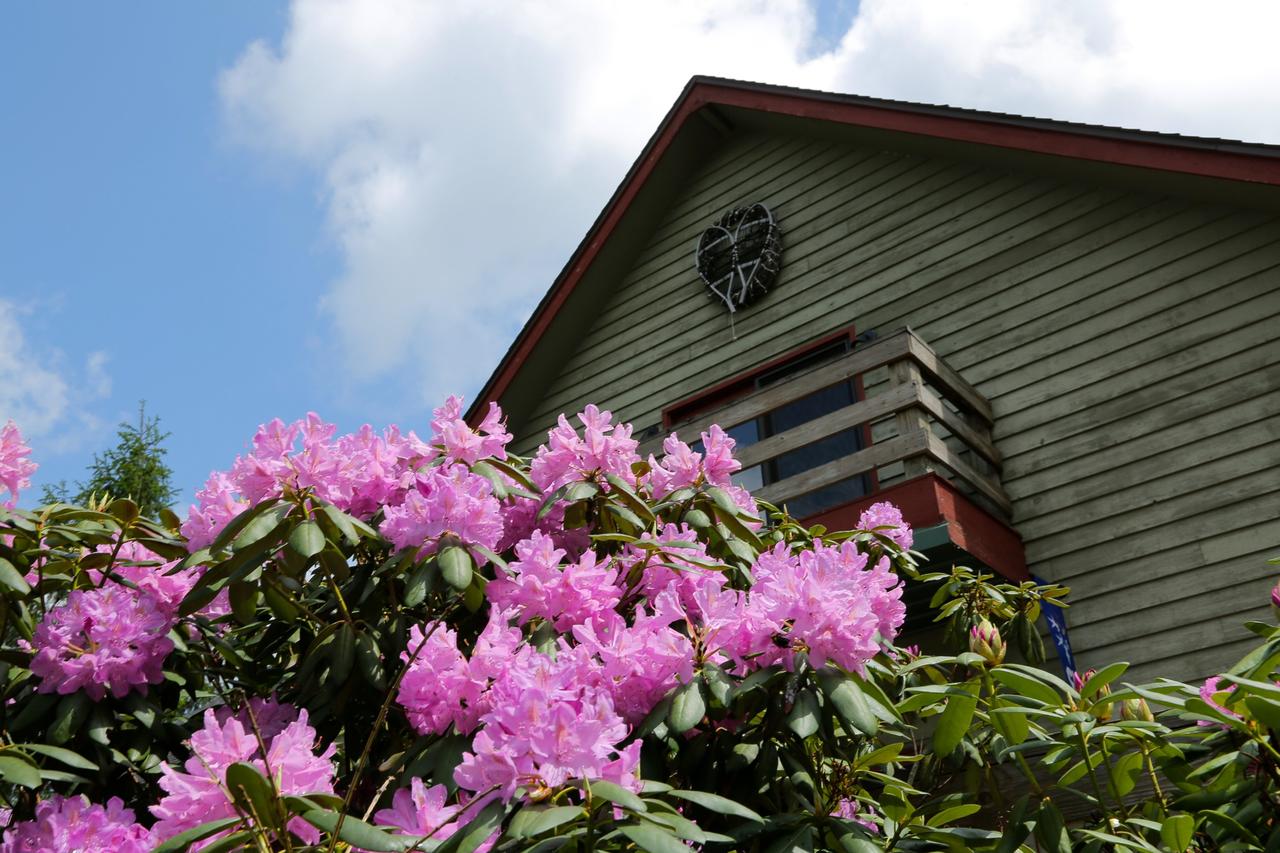 Black Bear Inns - thumb 11