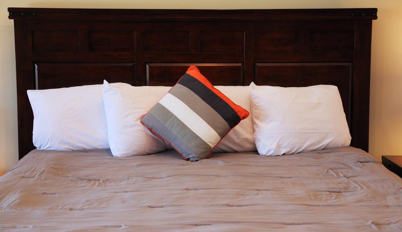 Black Bear Inns - thumb 34