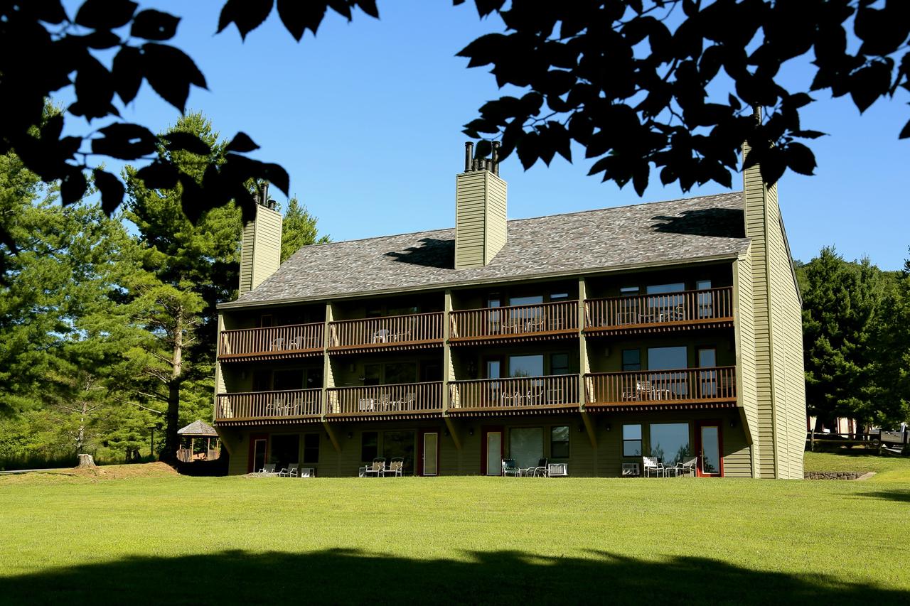 Black Bear Inns - thumb 1