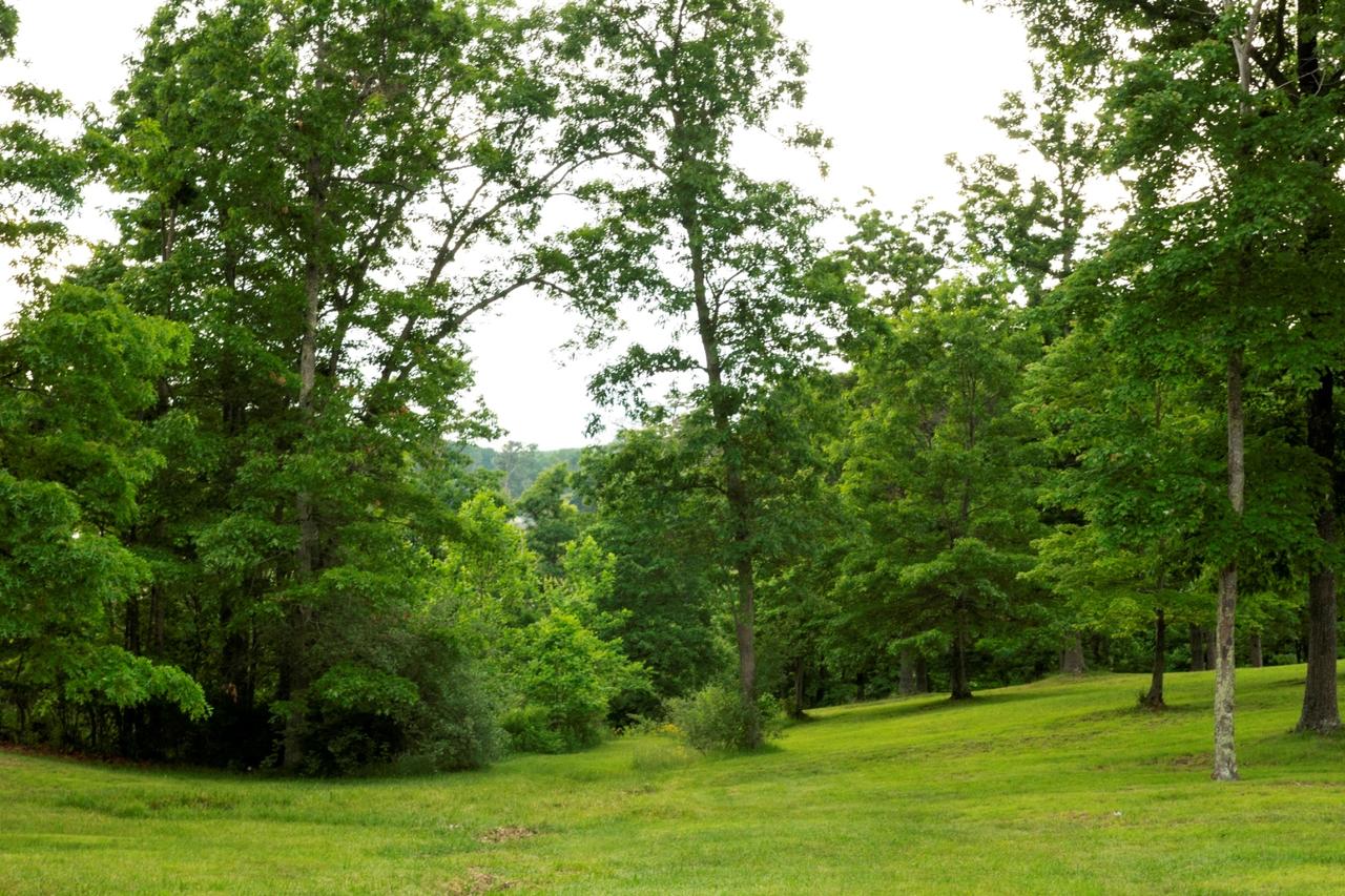 Skyline Lodge - thumb 41