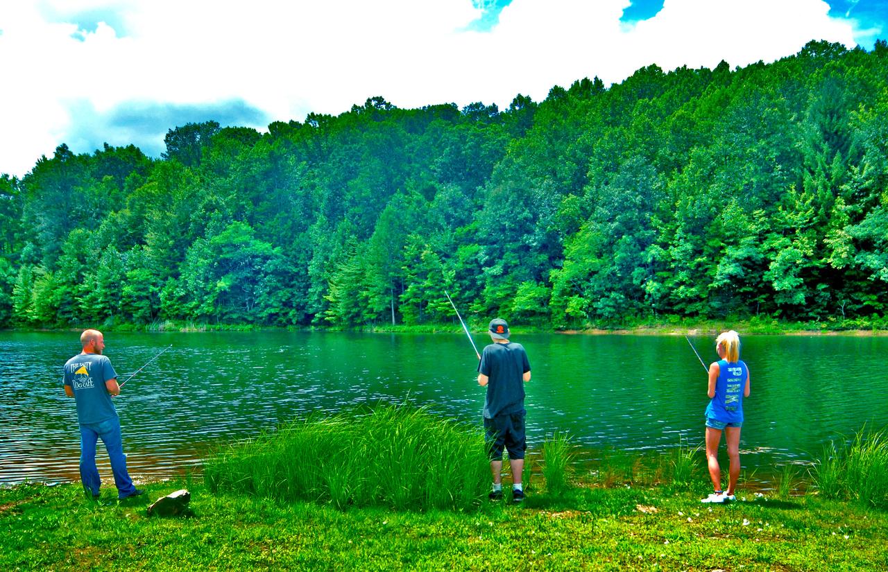 Skyline Lodge - thumb 33