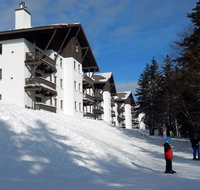 Whistlepunk 33 - Tourism Bookings