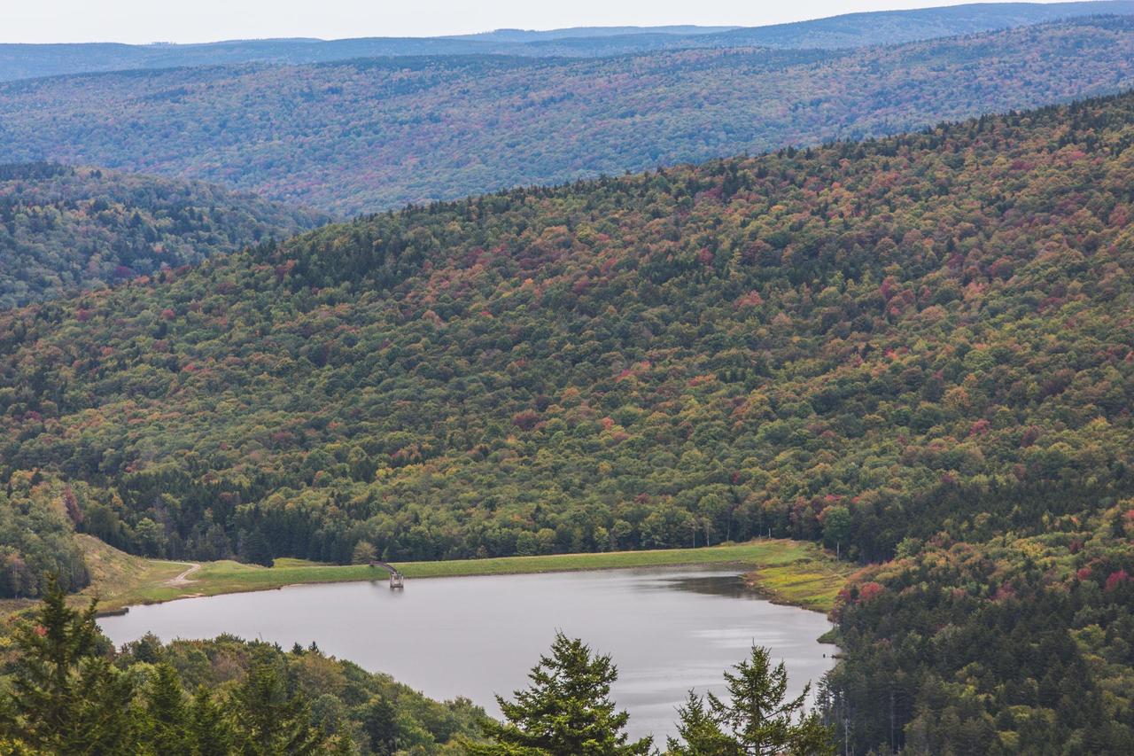 2 Bedroom Condo Unit 165 - thumb 32