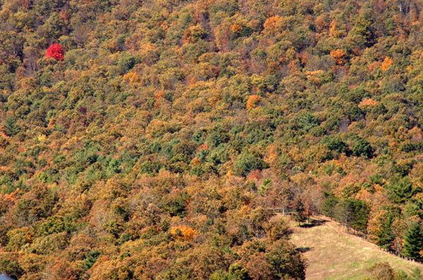 Lost River Motel - thumb 5