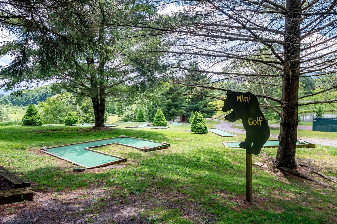 Honey Bear - thumb 20