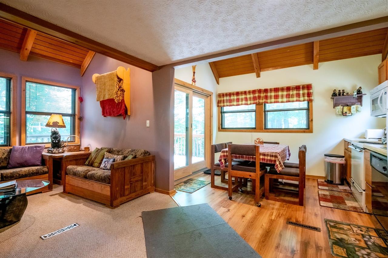 Honey Bear - thumb 10