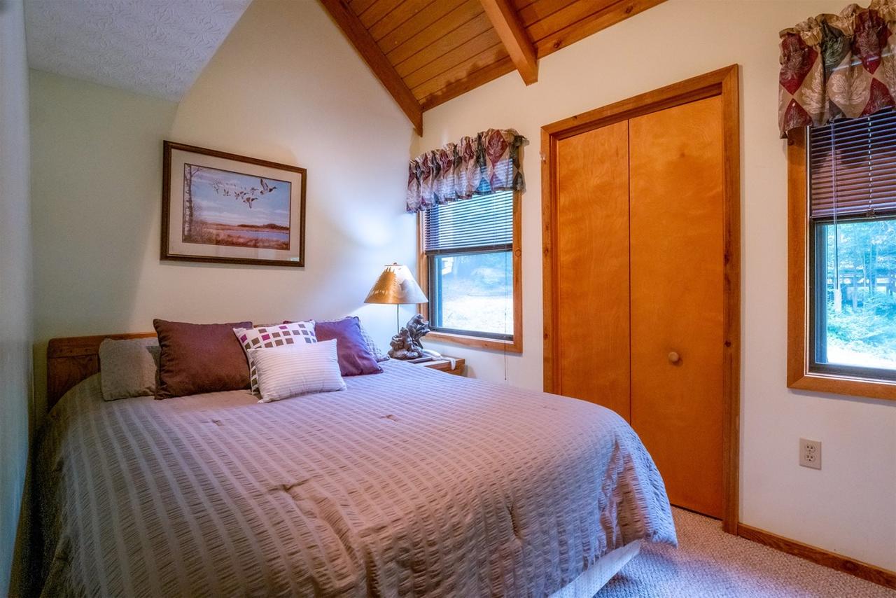 Honey Bear - thumb 11