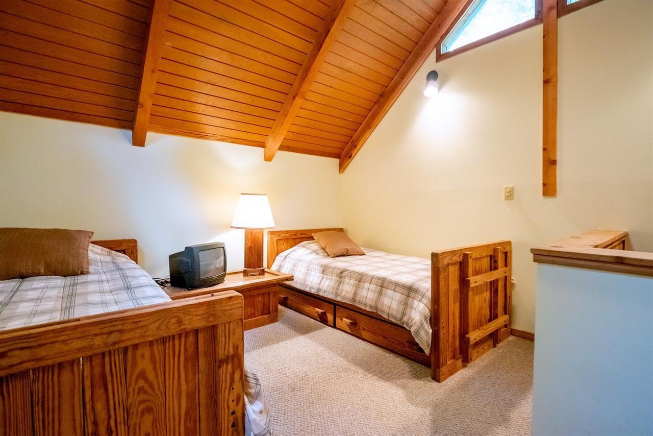 Honey Bear - thumb 14