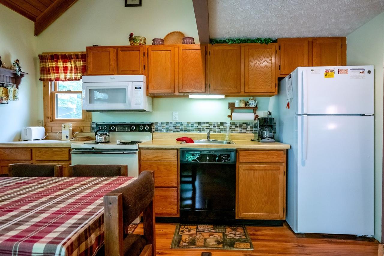 Honey Bear - thumb 3