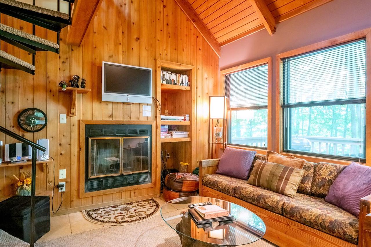 Honey Bear - thumb 7