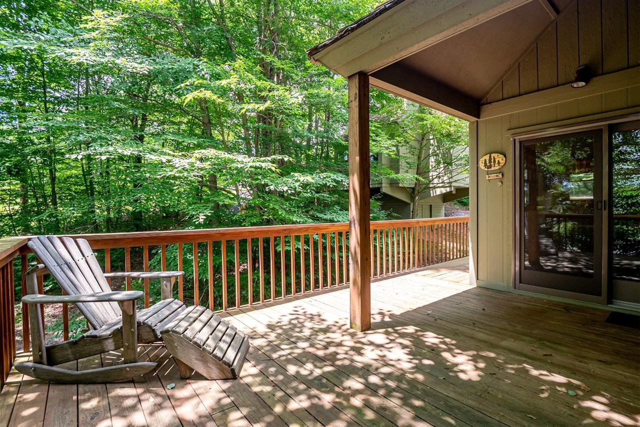 Honey Bear - thumb 17