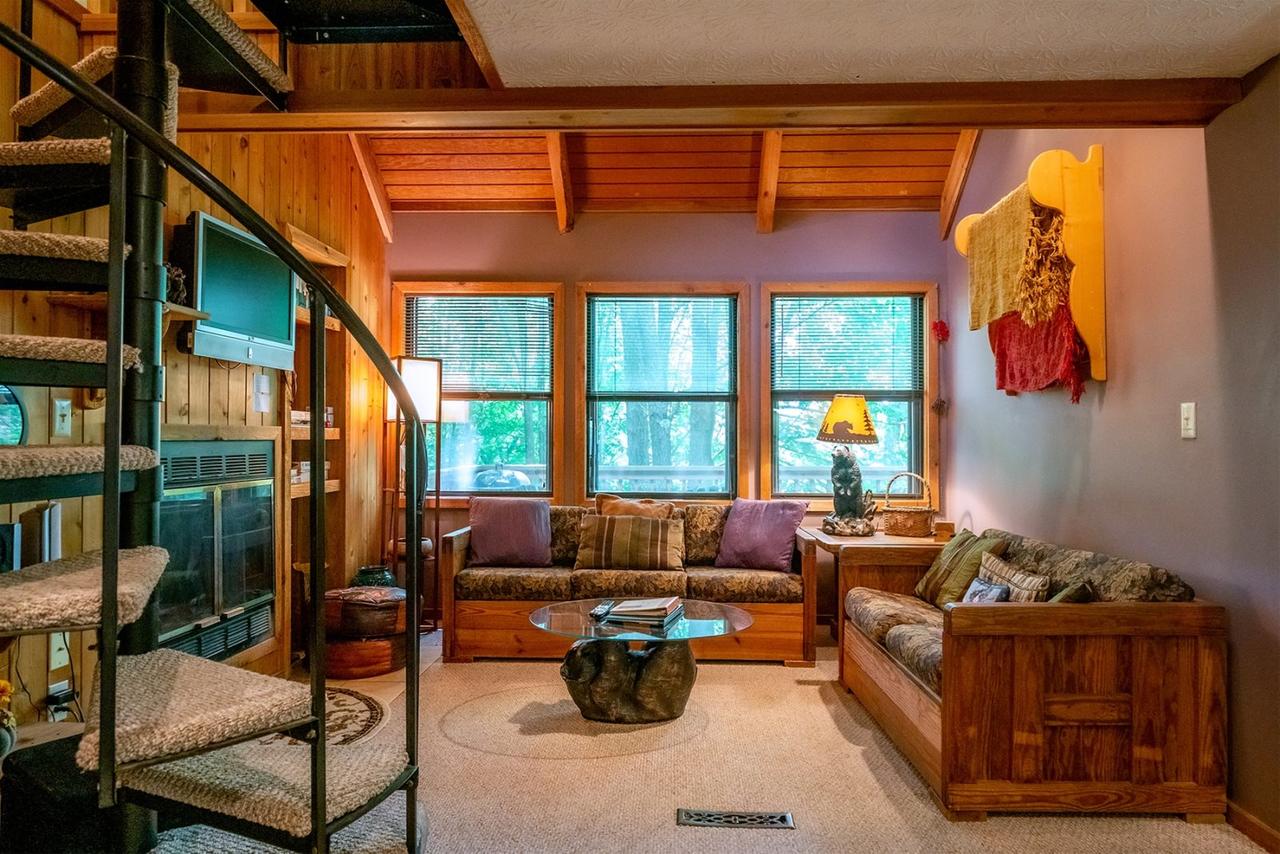 Honey Bear - thumb 6