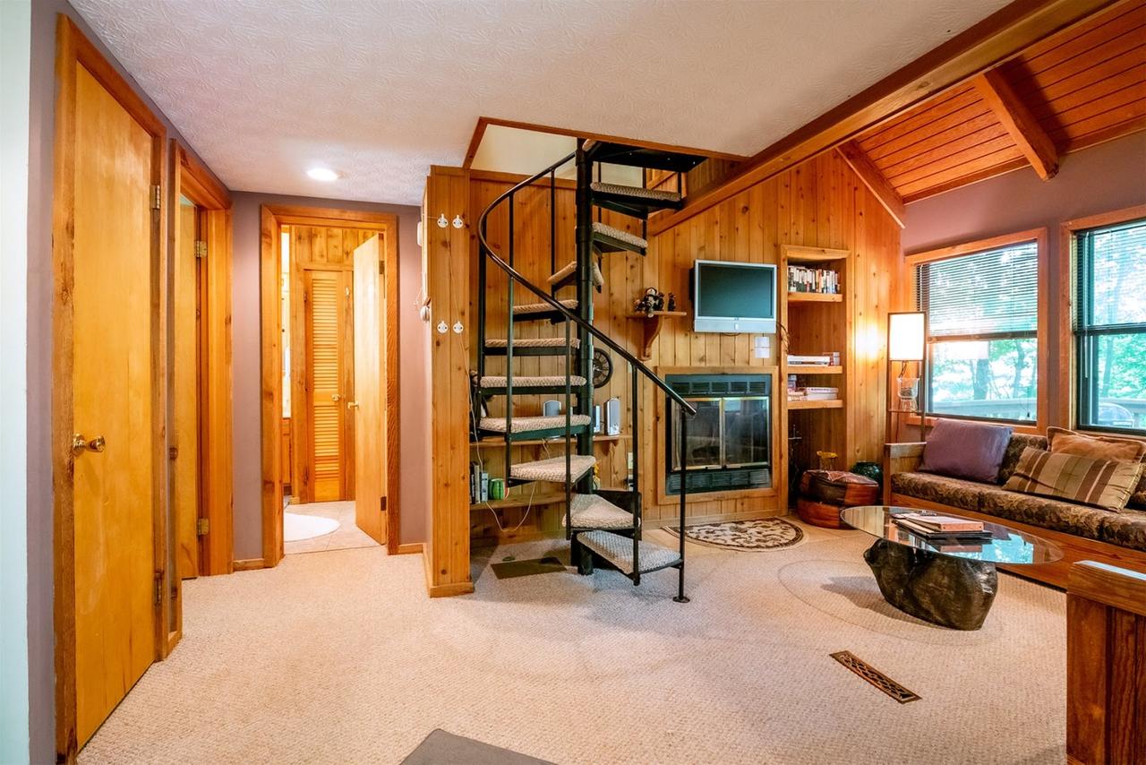 Honey Bear - thumb 5