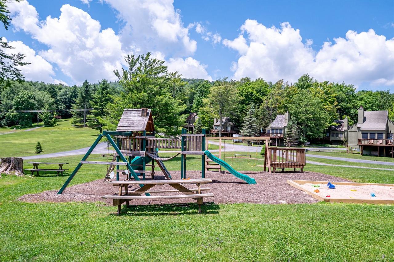 Honey Bear - thumb 22