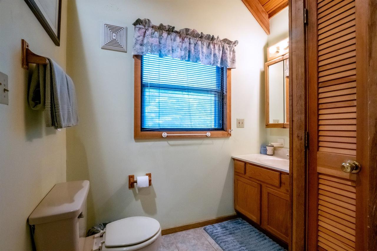 Honey Bear - thumb 12