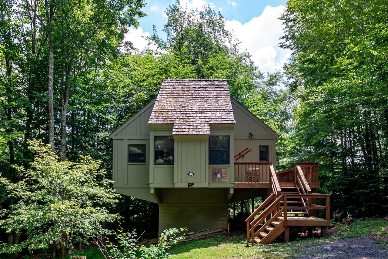 Honey Bear - thumb 0