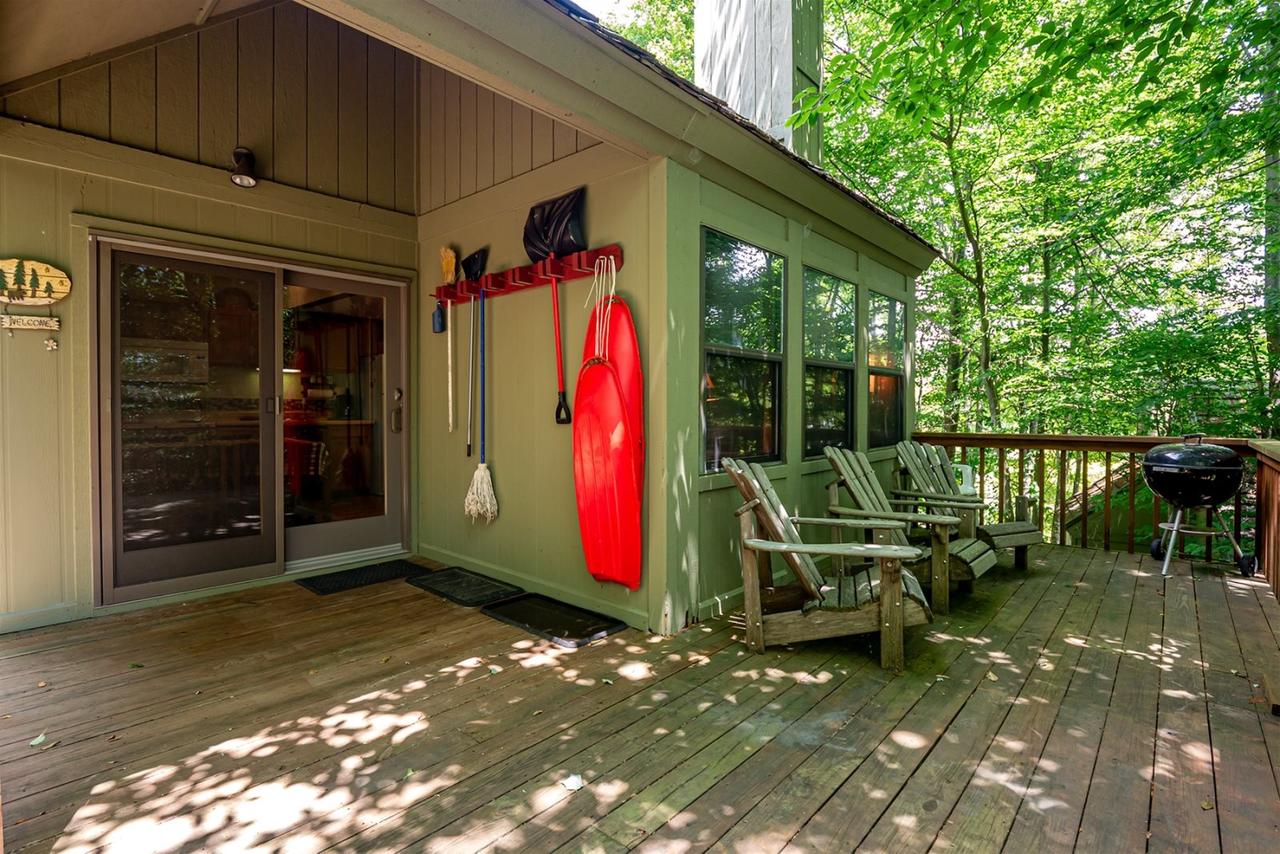 Honey Bear - thumb 16