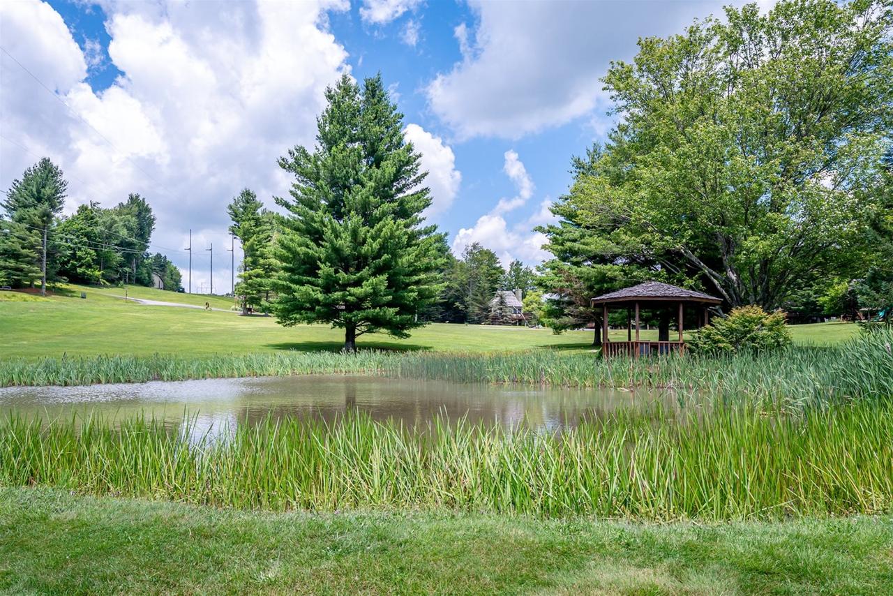 Honey Bear - thumb 21