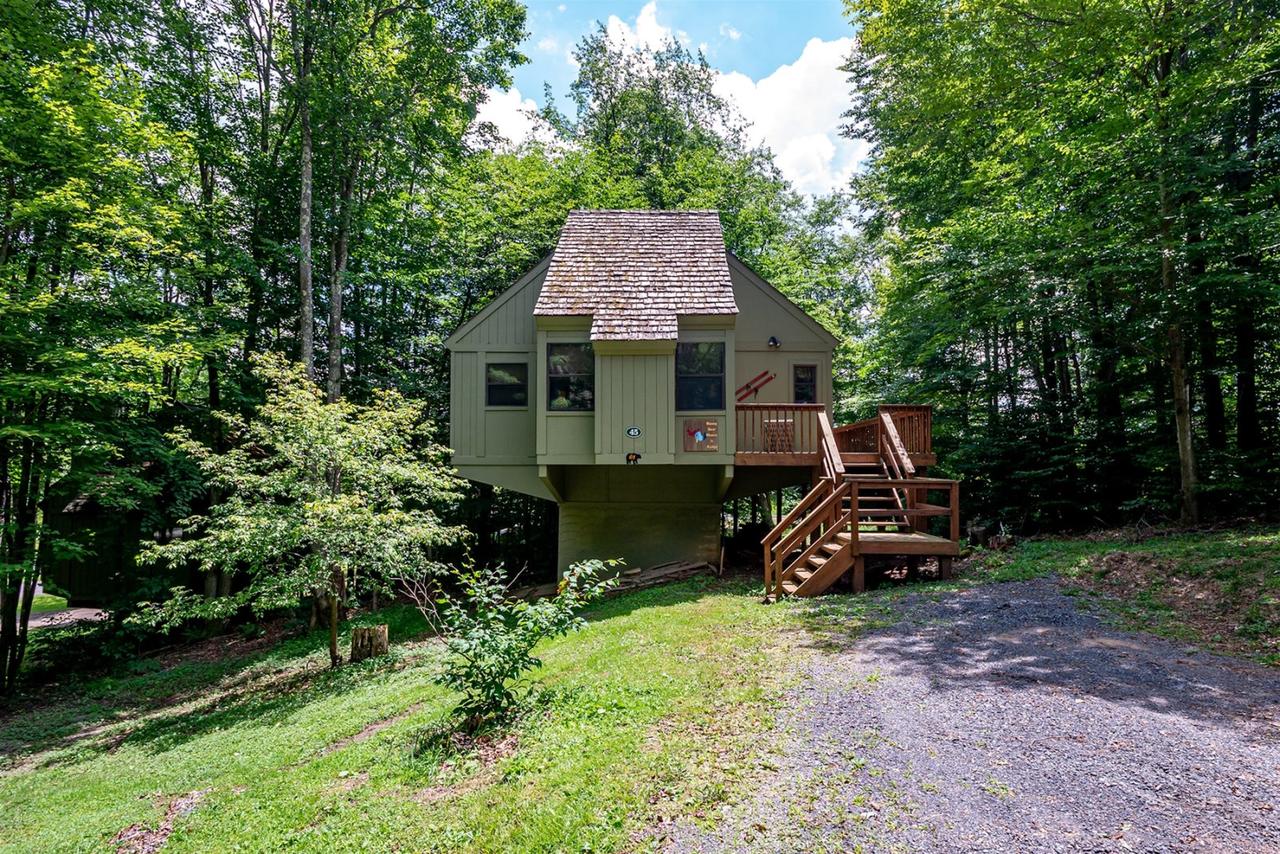 Honey Bear - thumb 18