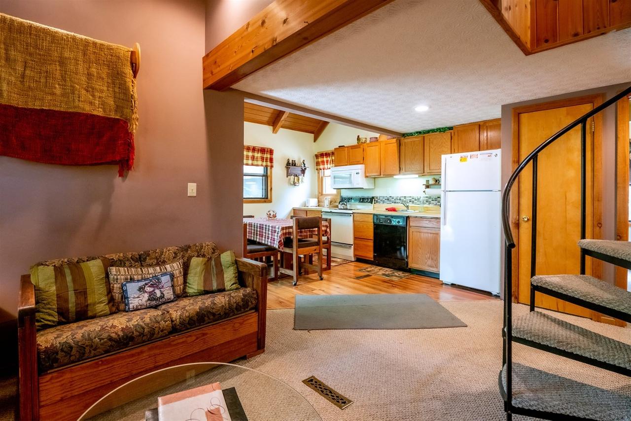 Honey Bear - thumb 8