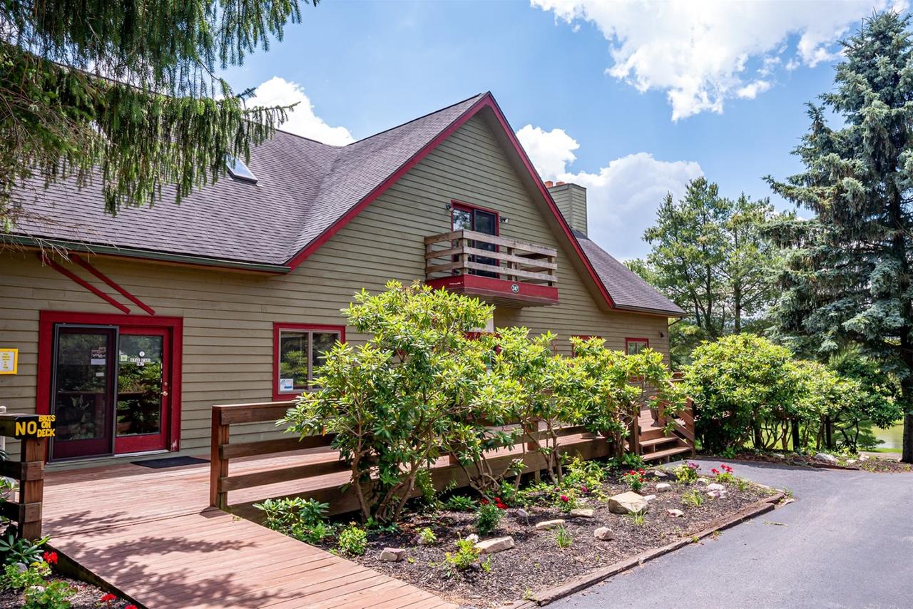 Honey Bear - thumb 19