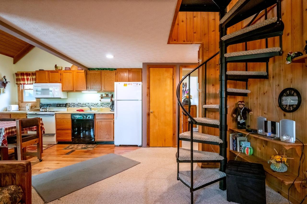 Honey Bear - thumb 9