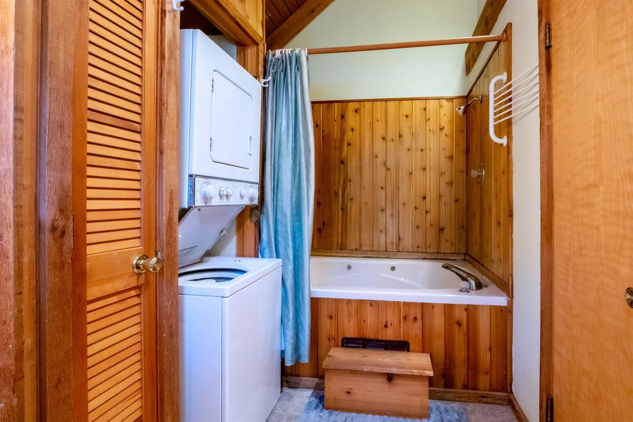 Honey Bear - thumb 13