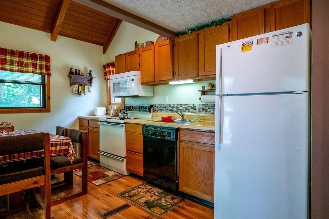 Honey Bear - thumb 2