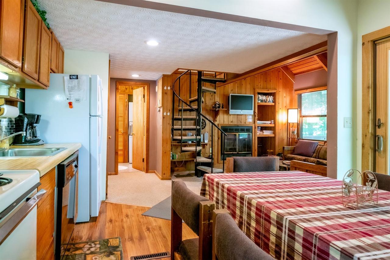 Honey Bear - thumb 4