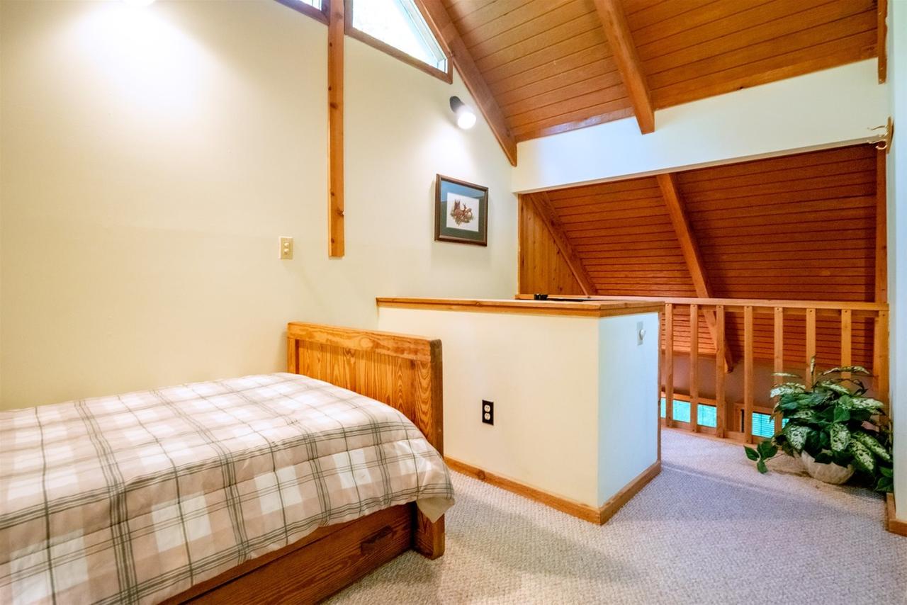 Honey Bear - thumb 15