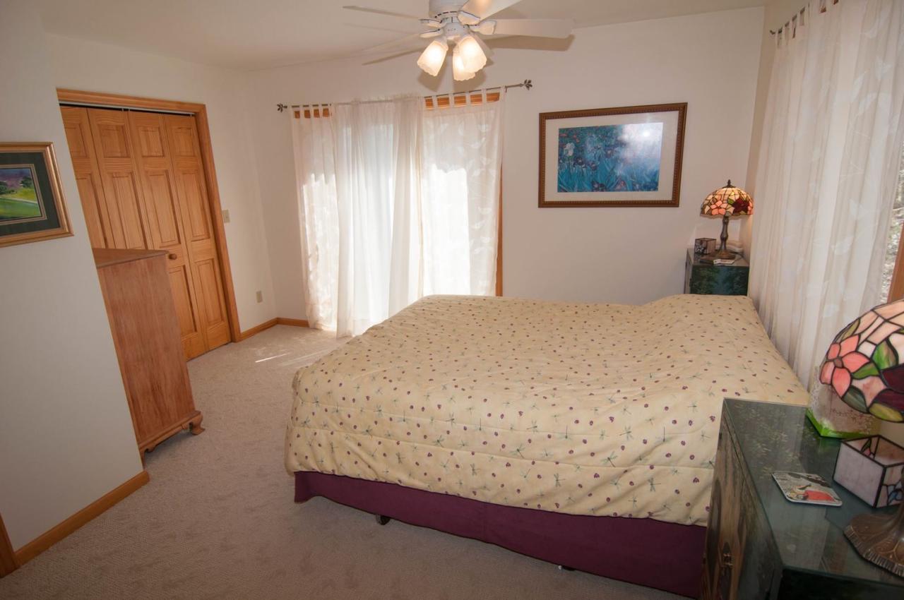 Woodland Pond - thumb 14