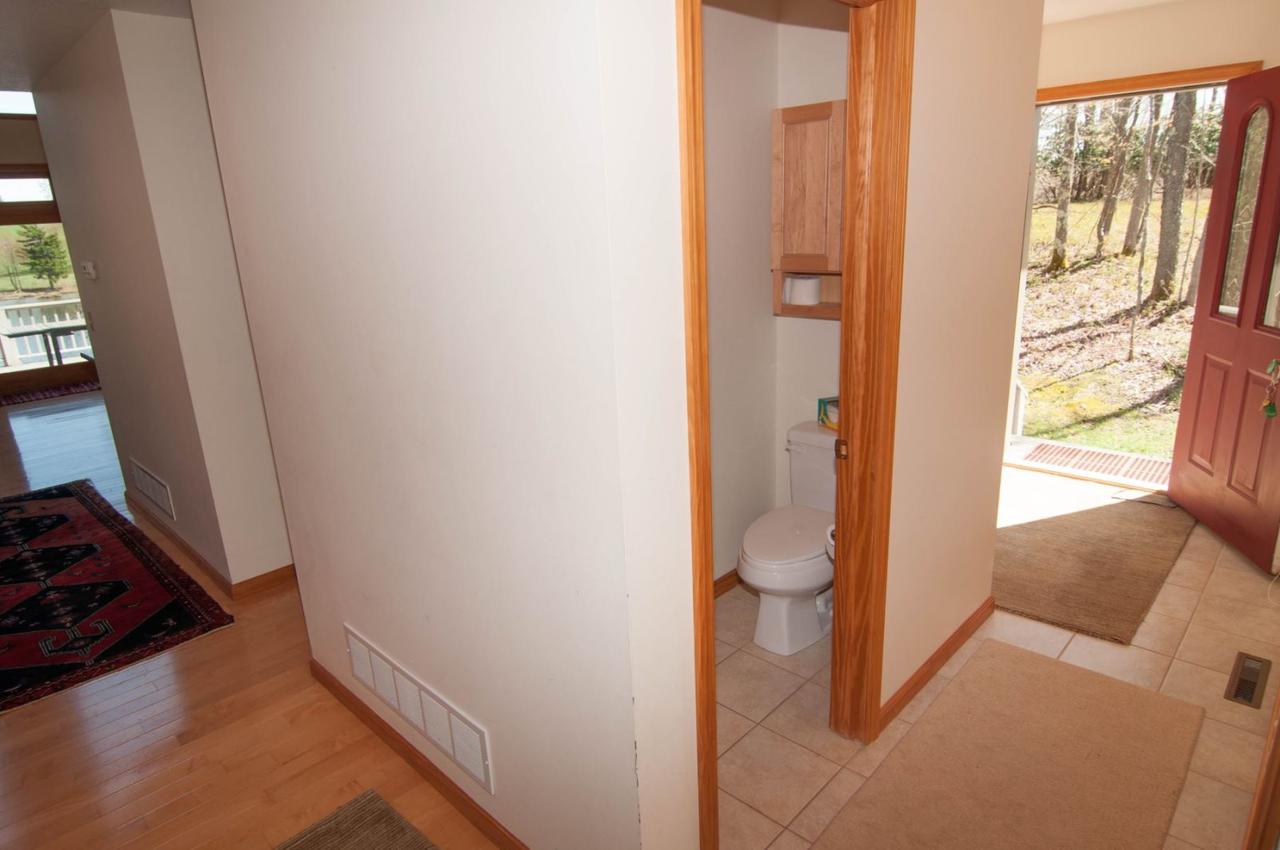 Woodland Pond - thumb 12