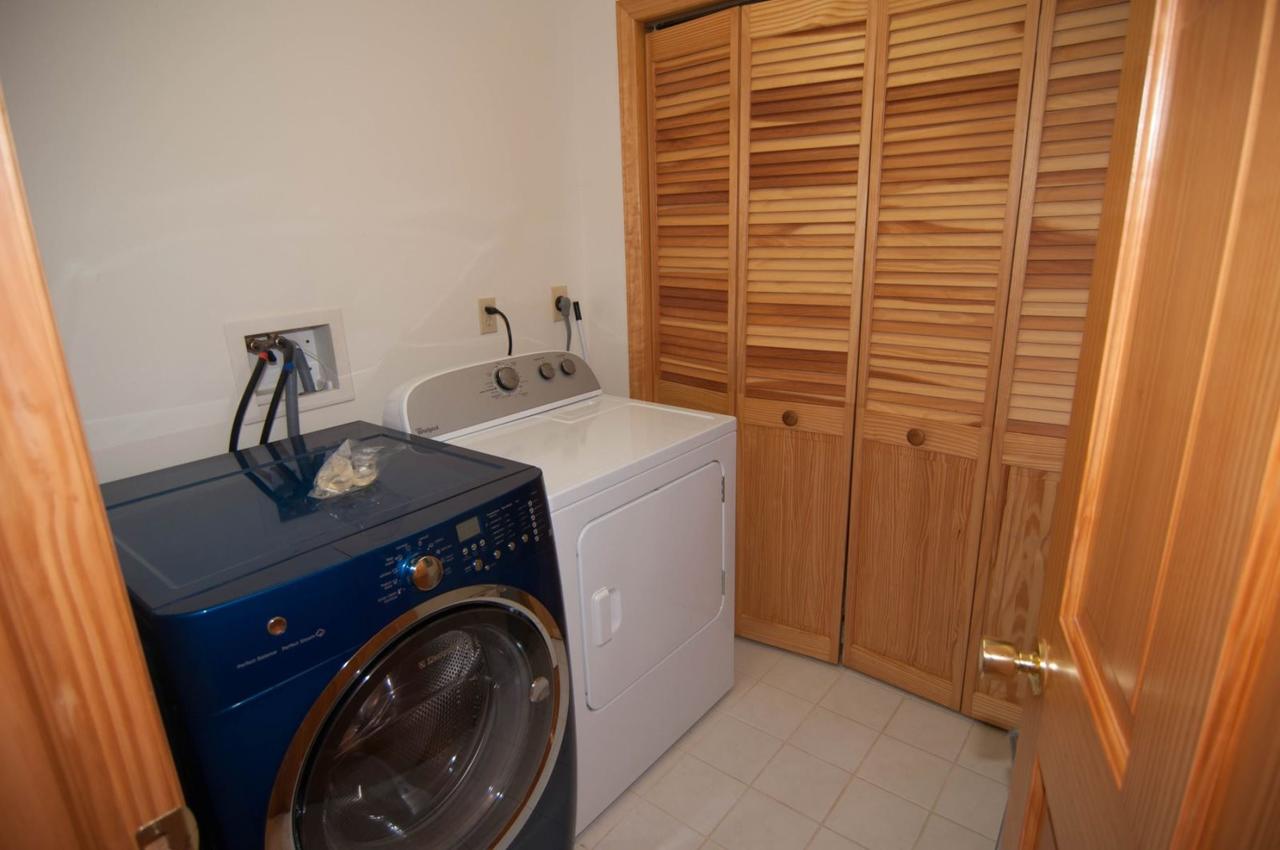 Woodland Pond - thumb 25