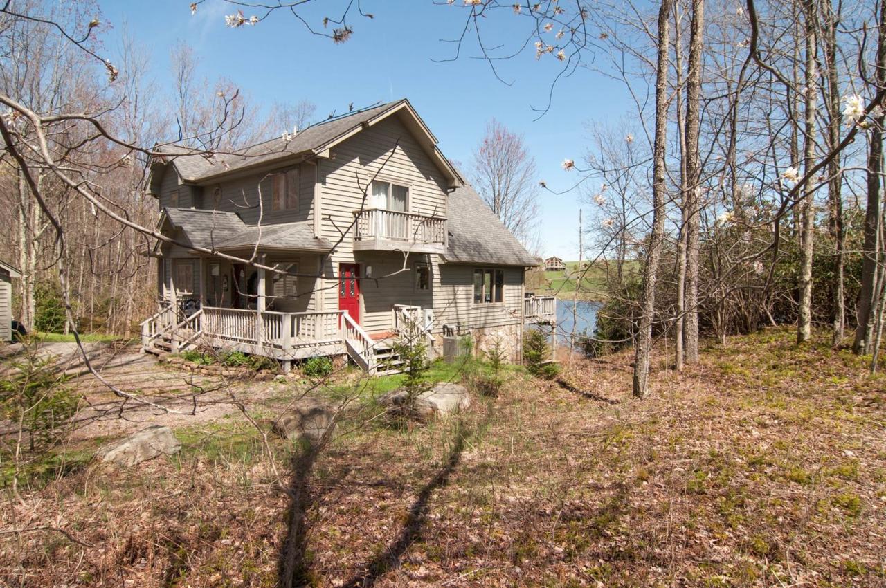 Woodland Pond - thumb 26