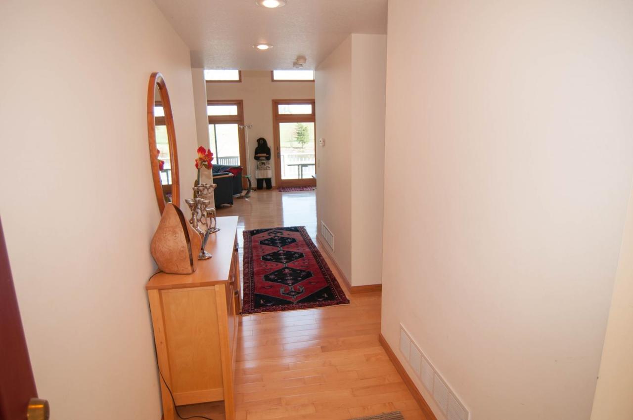 Woodland Pond - thumb 8