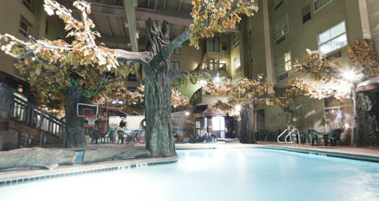 Holiday Inn Hotel & Suites Madison West - thumb 5